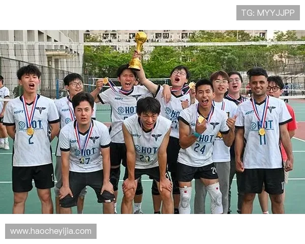 成都排球队的拼搏之路：一段关于汗水与荣耀的排球纪实故事