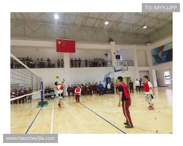 排球深度解析:西安排球队转换策略与战术的全面剖析