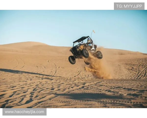 武汉极限运动队的激情与挑战：探索极限运动的魅力与发展之路