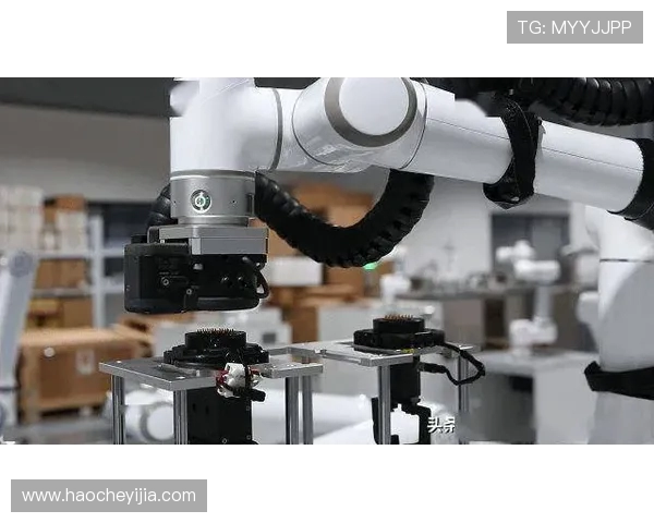 W本与W斯坦德的精彩对决揭示了未来科技发展的新趋势与挑战 W本与W斯坦德的精彩对决揭示了未来科技发展的新趋势与挑战