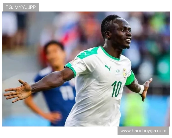 塞内加尔与韩国比赛因故延迟球迷期待新赛程安排