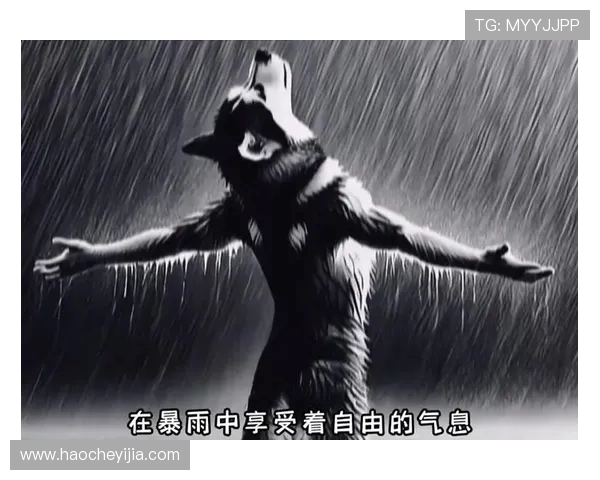 滑板人生的深度对话:王伟如何在挑战中追寻梦想与自由