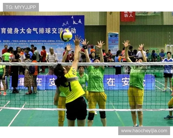 专访陈伟：探寻排球辉煌背后的成功秘诀与奋斗历程