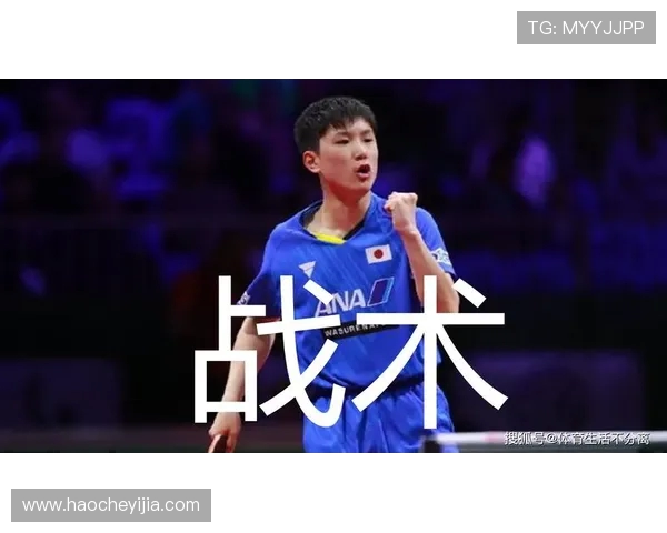 乒乓球战术：成都乒乓球队的阵地战体系